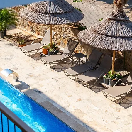 Palamut Butik דטקה